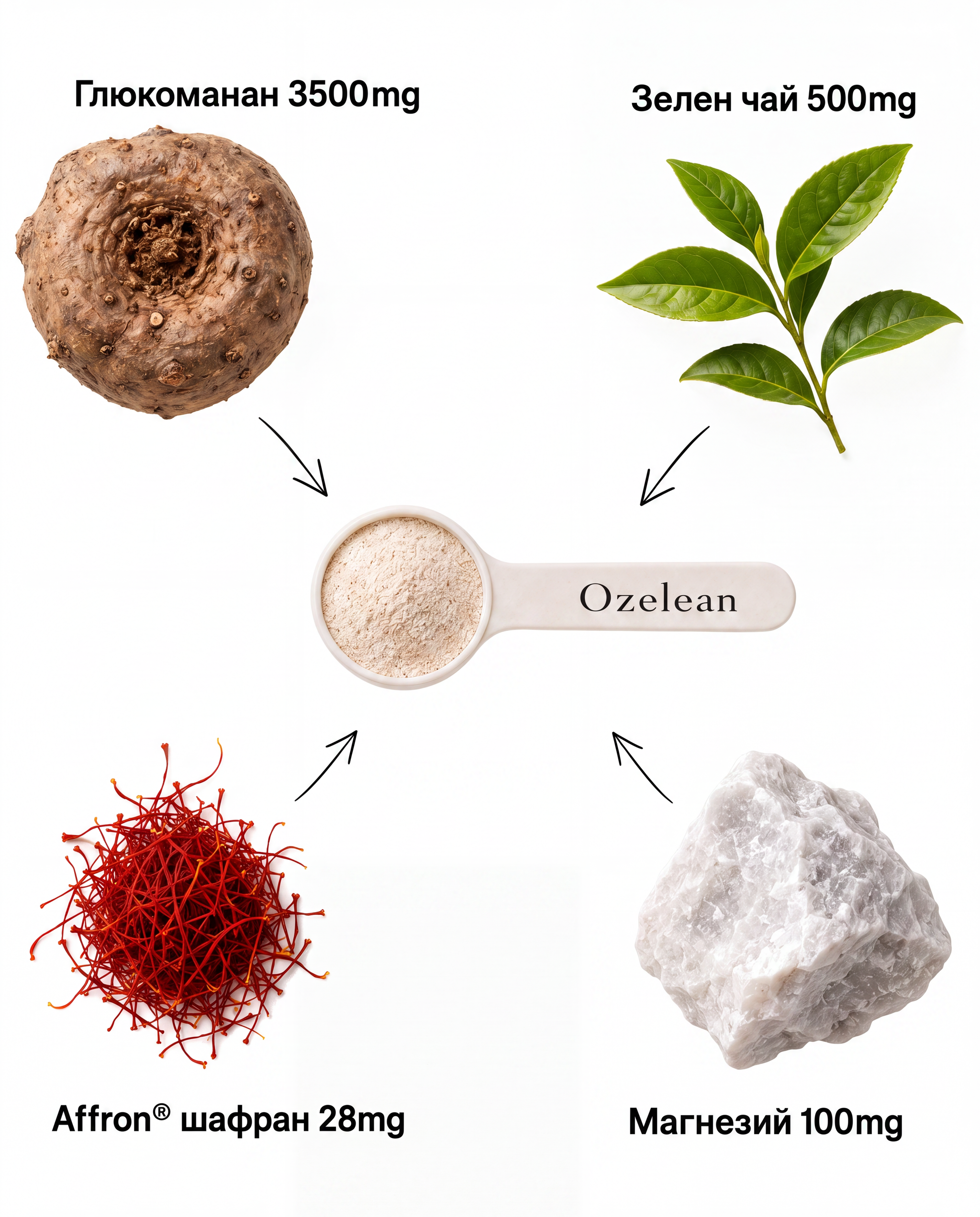 ОzeLean Daily Control