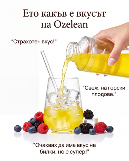 ОzeLean Daily Control